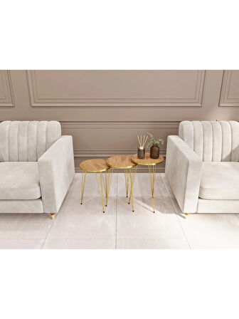 Alpa Ev Mobilya Gold Metal Ayaklı 3’lü Zigon Sehpa Seti Modern Yuvarlak Sehpa Takımı