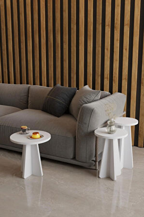 Alpa Ev Mobilya Mantar Sehpa 3’lü Zigon Sehpa Seti – İskandinav Stil Modern Salon Sehpası