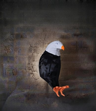 Kartal Gece Lambasi