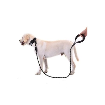 Reflektörlü Köpek Tasması 130 Cm