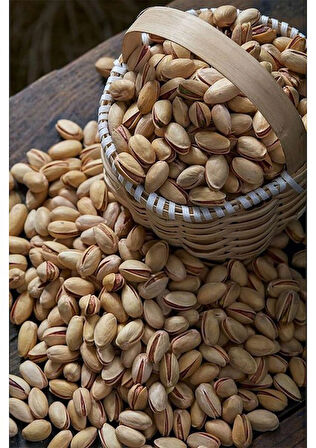 Antep Fıstığı Duble 1 KG