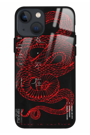 Apple iPhone 14 Uyumlu Dragon Tasarımlı Parlak Silikon Kılıf