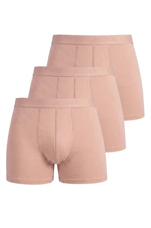 Özel Seri Görünmez Boxer Erkek Ten Rengi 3'lü Paket Pratik Kullanım Konforlu Model Rahat İçlik