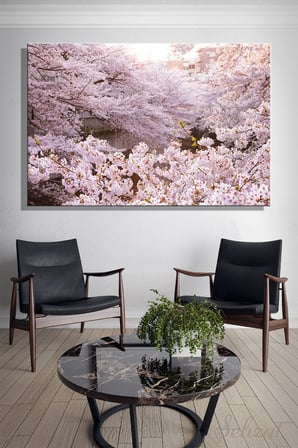 Yatay Tekli Kanvas Duvar Tablosu Modern Salon Mutfak Yatak Odası Ofis - Kiraz Çiçeği Sakura