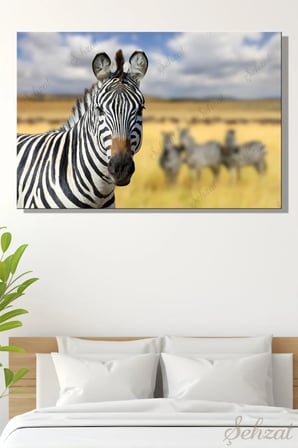 Şehzat Zebra Desenli Kanvas Tablo 20x30 cm Modern Dekoratif Duvar Tablosu