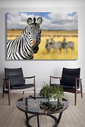 Yatay Tekli Kanvas Duvar Tablosu Modern Salon Mutfak Yatak Odası Ofis Zebra Afrika Kenya Hayvan