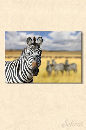 Yatay Tekli Kanvas Duvar Tablosu Modern Salon Mutfak Yatak Odası Ofis Zebra Afrika Kenya Hayvan