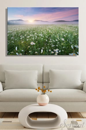 Şehzat Kanvas Tablo Papatya Tarla Manzara 20 x 30 cm