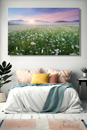 Şehzat Kanvas Tablo Papatya Tarla Manzara 20 x 30 cm
