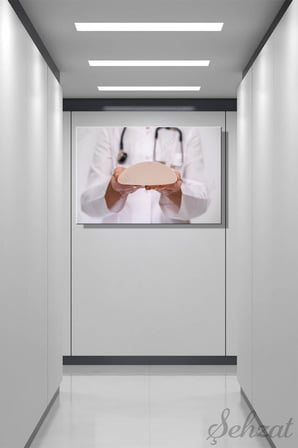 Yatay Tekli Kanvas Duvar Tablosu Modern Klinik Medikal Estetik Silikon Göğüs Plastik Cerrah İş