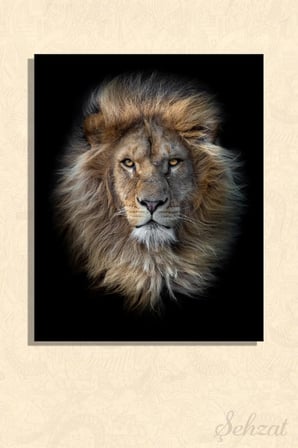 Şehzat Aslan Kanvas Tablo 20x30 cm Dikey Dekoratif Duvar Panosu