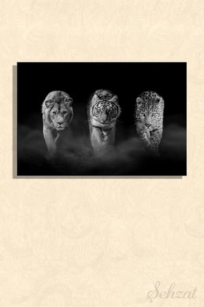 Şehzat Kanvas Tablo Aslan Aslan Aslan Siyah Beyaz 20 x 30 cm