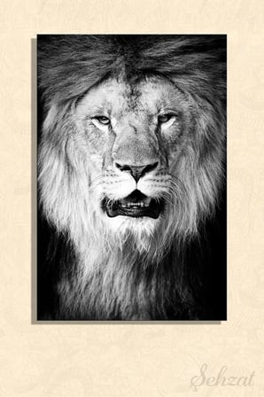 Şehzat Aslan Kanvas Tablo 20 x 30 cm