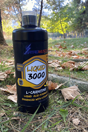 ArtroMuscle Nutrition Thermo L-Carnitine 3000 Mango Aromalı