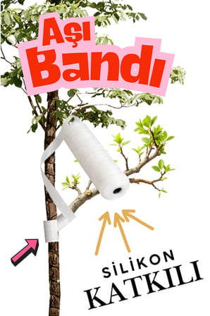 3 Adet Süper Kalite Esnek Aşı Bandı Kendinden Yapışkanlı Fidan Aşı Bağı Esnek Göz Aşı Bandı 100 Mt