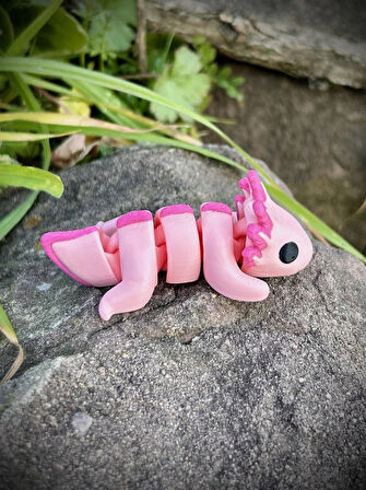  Axolotl Oyuncak - Suyun Sevimli ve Gizemli Kaşifi! Bebek🦎🌊 3D Hareketli Organik Model - Orta Boy