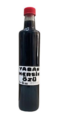 Organik Yaban Mersini Özü 700 Ml