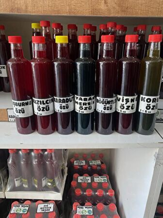 Organik Yaban Mersini Özü 700 Ml