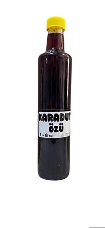 Organik Karadut Özü 700 Ml