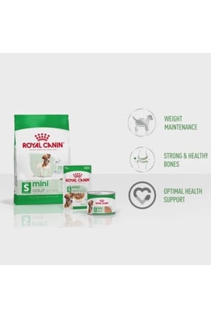 Royal Canin Mini Adult Köpek Maması, 4 Kg