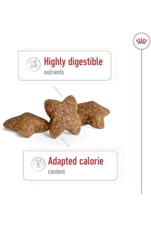 Royal Canin Mini Adult Köpek Maması, 4 Kg