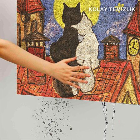 Monnhein Kedi Köpek Komik Tasarımlı Dekoratif Kapı önü Paspas, Dış Mekan/Ev İçi/Banyo/Mutfak/Yatak Odası/Giriş Paspasları