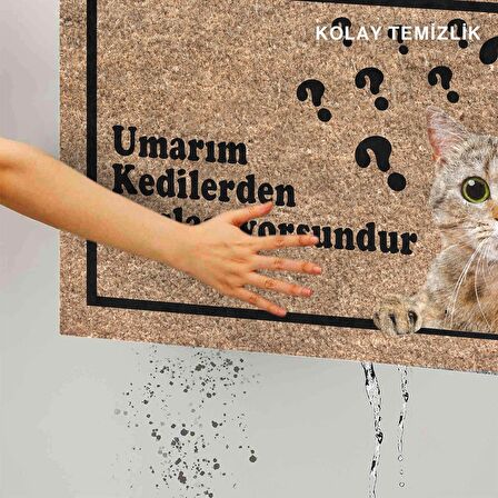 Monnhein Kedi Köpek Komik Tasarımlı Dekoratif Kapı önü Paspas, Dış Mekan/Ev İçi/Banyo/Mutfak/Yatak Odası/Giriş Paspasları