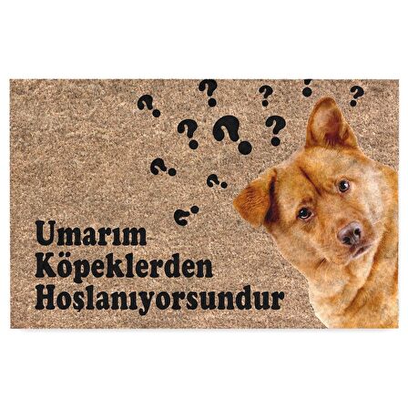 Monnhein Kedi Köpek Komik Tasarımlı Dekoratif Kapı önü Paspas, Dış Mekan/Ev İçi/Banyo/Mutfak/Yatak Odası/Giriş Paspasları