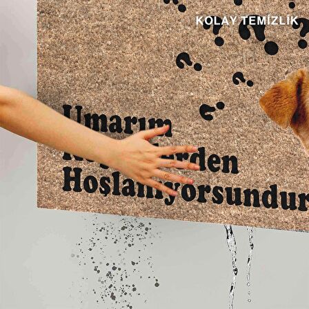 Monnhein Kedi Köpek Komik Tasarımlı Dekoratif Kapı önü Paspas, Dış Mekan/Ev İçi/Banyo/Mutfak/Yatak Odası/Giriş Paspasları