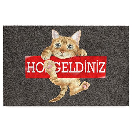 Monnhein Kedi Köpek Komik Tasarımlı Dekoratif Kapı önü Paspas, Dış Mekan/Ev İçi/Banyo/Mutfak/Yatak Odası/Giriş Paspasları