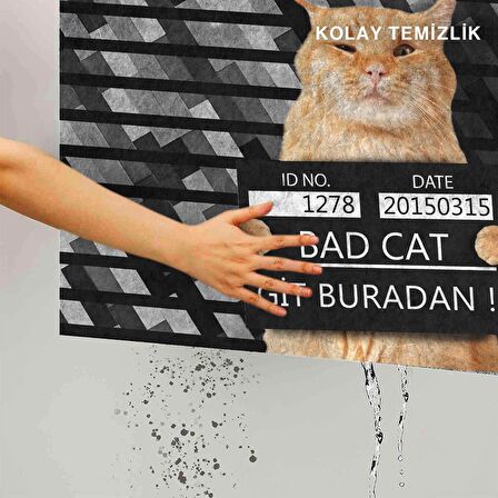 Monnhein Kedi Köpek Komik Tasarımlı Dekoratif Kapı önü Paspas, Dış Mekan/Ev İçi/Banyo/Mutfak/Yatak Odası/Giriş Paspasları