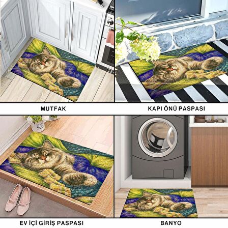 Monnhein Kedi Köpek Komik Tasarımlı Dekoratif Kapı önü Paspas, Dış Mekan/Ev İçi/Banyo/Mutfak/Yatak Odası/Giriş Paspasları