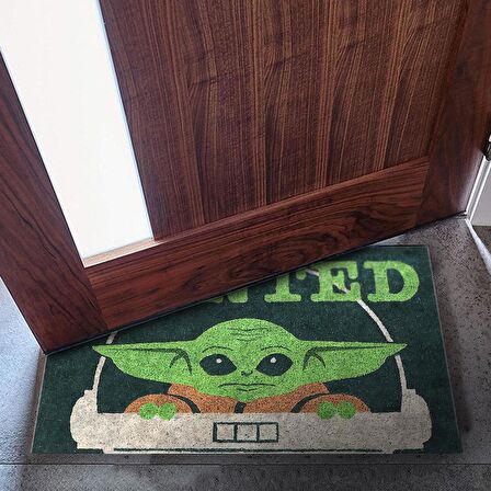 Monnhein Kedi Köpek Komik Tasarımlı Dekoratif Kapı önü Paspas, Dış Mekan/Ev İçi/Banyo/Mutfak/Yatak Odası/Giriş Paspasları