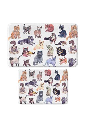 Sevimli Tasarımlı Mikrofiber 2'li Takım Banyo Paspası, Kaymaz Taban, Makinede Yıkanabilir (40x60_50x80)