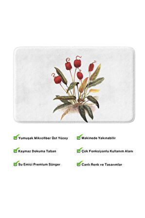 Monnhein 2'li Takım Banyo Paspası, Kaymaz Taban, Makinede Yıkanabilir, Banyo Halısı