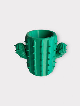 Kaktüs Kalemlik – Dekoratif Masaüstü Organizer (Biyoplastik, 10 cm)