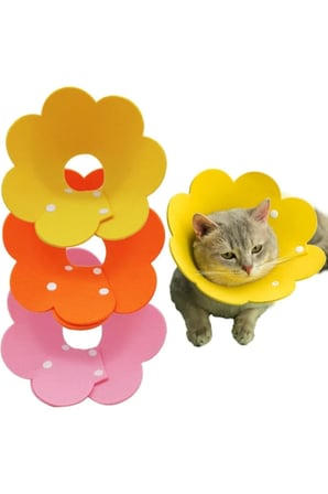10 Adet Keçe Elizabeth Yakalığı – XL Boy Evcil Hayvan Koruyucu Yakalı, Ameliyat Sonrası İyileşme, Soft Felt E-Collar, Büyük Irk Kedi Köpek