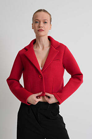 ALEXANDERGARDI Astarsız Crop Blazer Ceket