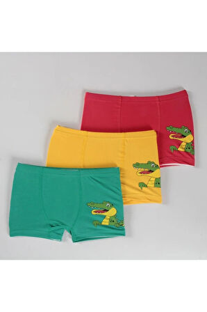 ELMAS Karışık Desen 3lü Erkek Çocuk Boxer Set B-76