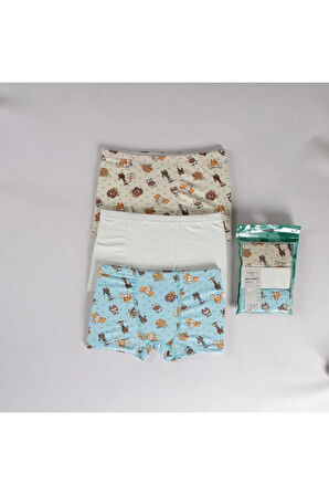 ELMAS Karışık Desen 3lü Erkek Çocuk Boxer Set B-84