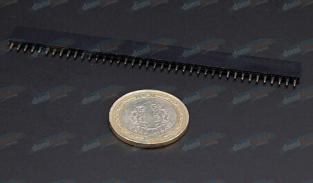 1x40 2.54mm h:12mm Dişi Header Standart