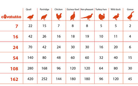 Novital Cova Dijital Otomatik Kuluçka Makinesi