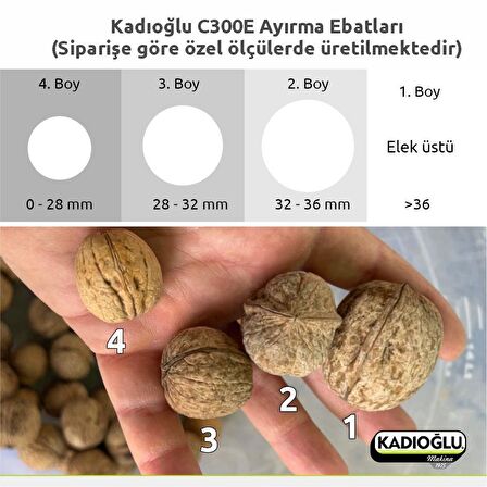 Kadıoğlu C300E 3+1 Tamburlu Ceviz Boylama Kalibrasyon Makinesi