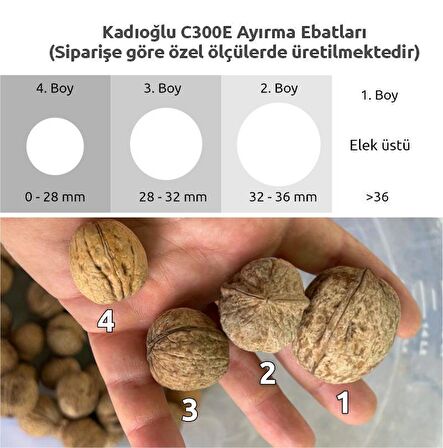 Kadıoğlu C300E 3+1 Tamburlu Ceviz Boylama Kalibrasyon Makinesi