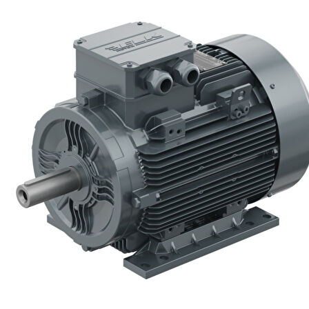 ELK Motor 2,2 kW, 1500 devir, B3 Ayaklı