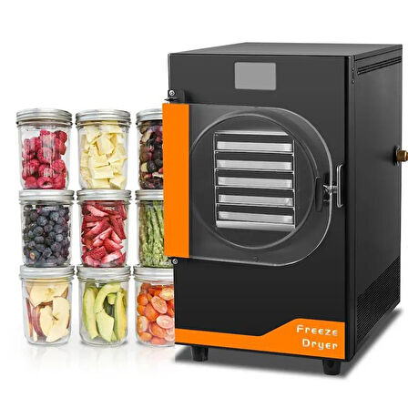 Dalle DFD-06 Freeze Dryer Dondurarak Gıda Kurutma Fırını