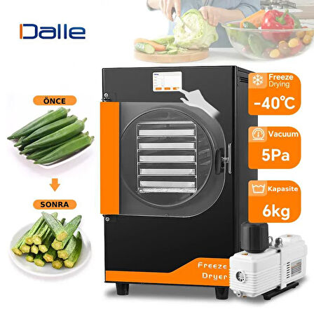 Dalle DFD-06 Freeze Dryer Dondurarak Gıda Kurutma Fırını