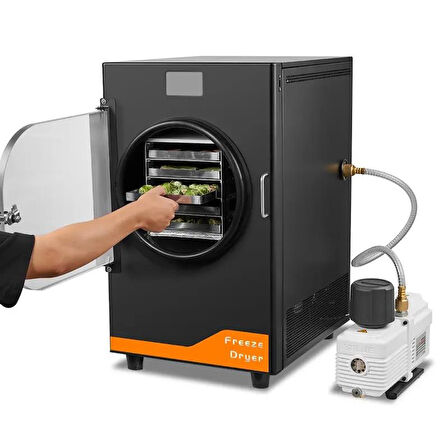 Dalle DFD-06 Freeze Dryer Dondurarak Gıda Kurutma Fırını