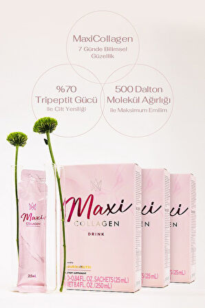 MaxiCollagen  7 Günde Etkili Tripeptit Kolajen, Hyaluronik Asit, Seramid (30 ŞASE)
