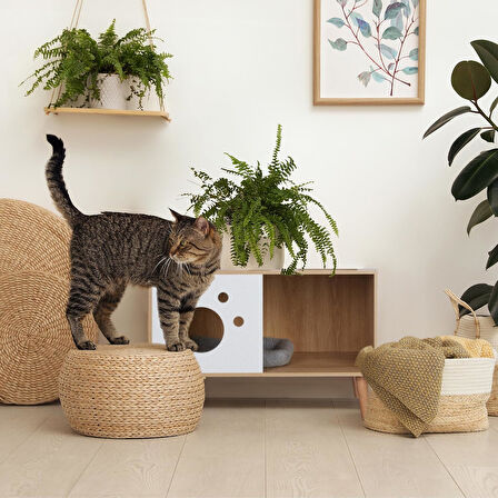 MeowCave Kedi Tuvaleti Mobilyası
